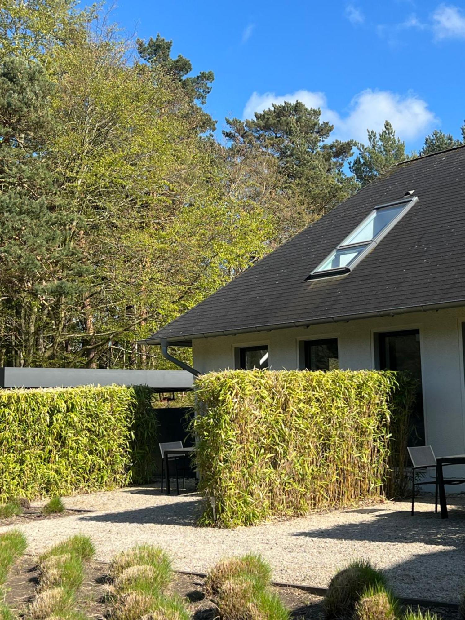 Appartement Haus Dohrmann à Binz Extérieur photo